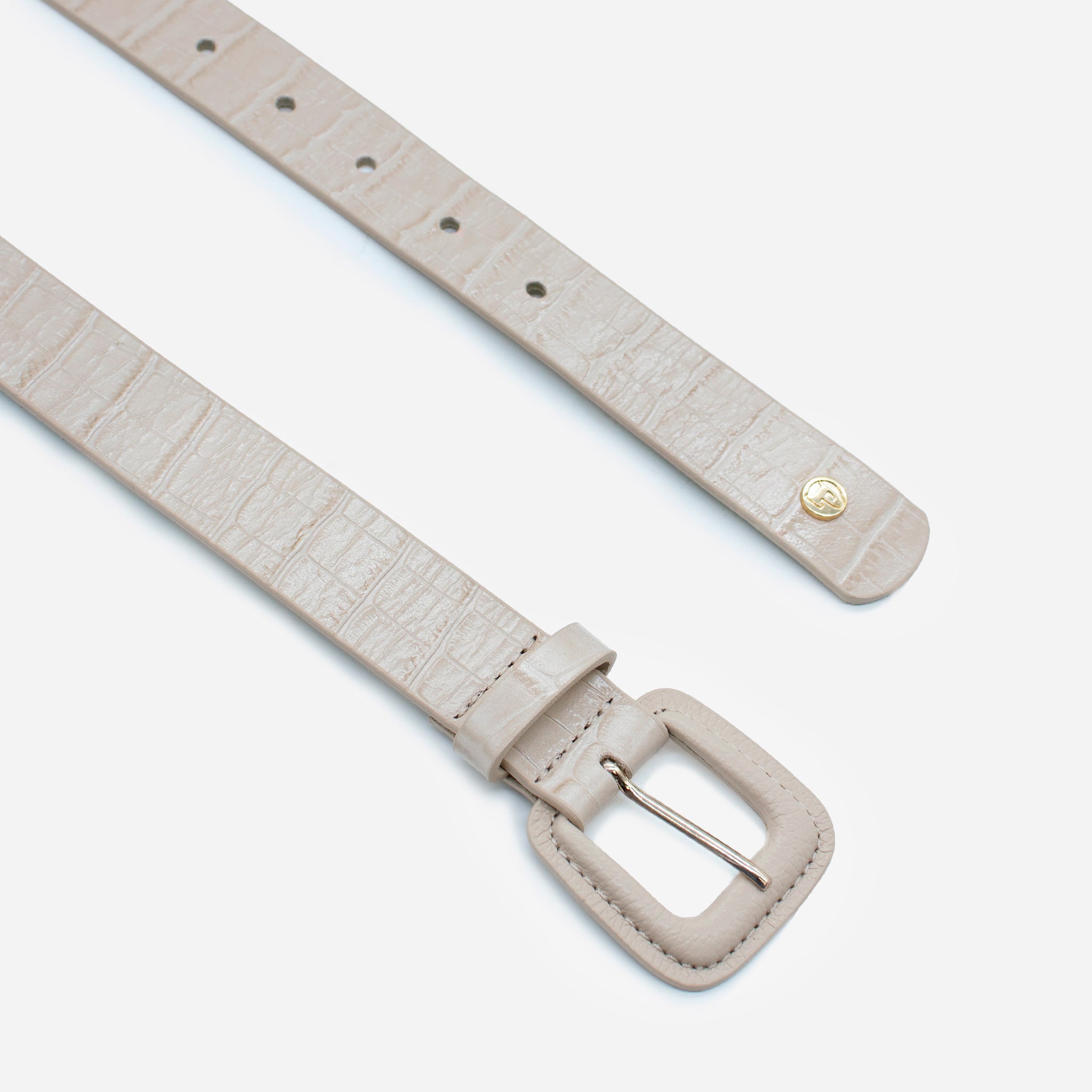 CORREA - CORPFB19
