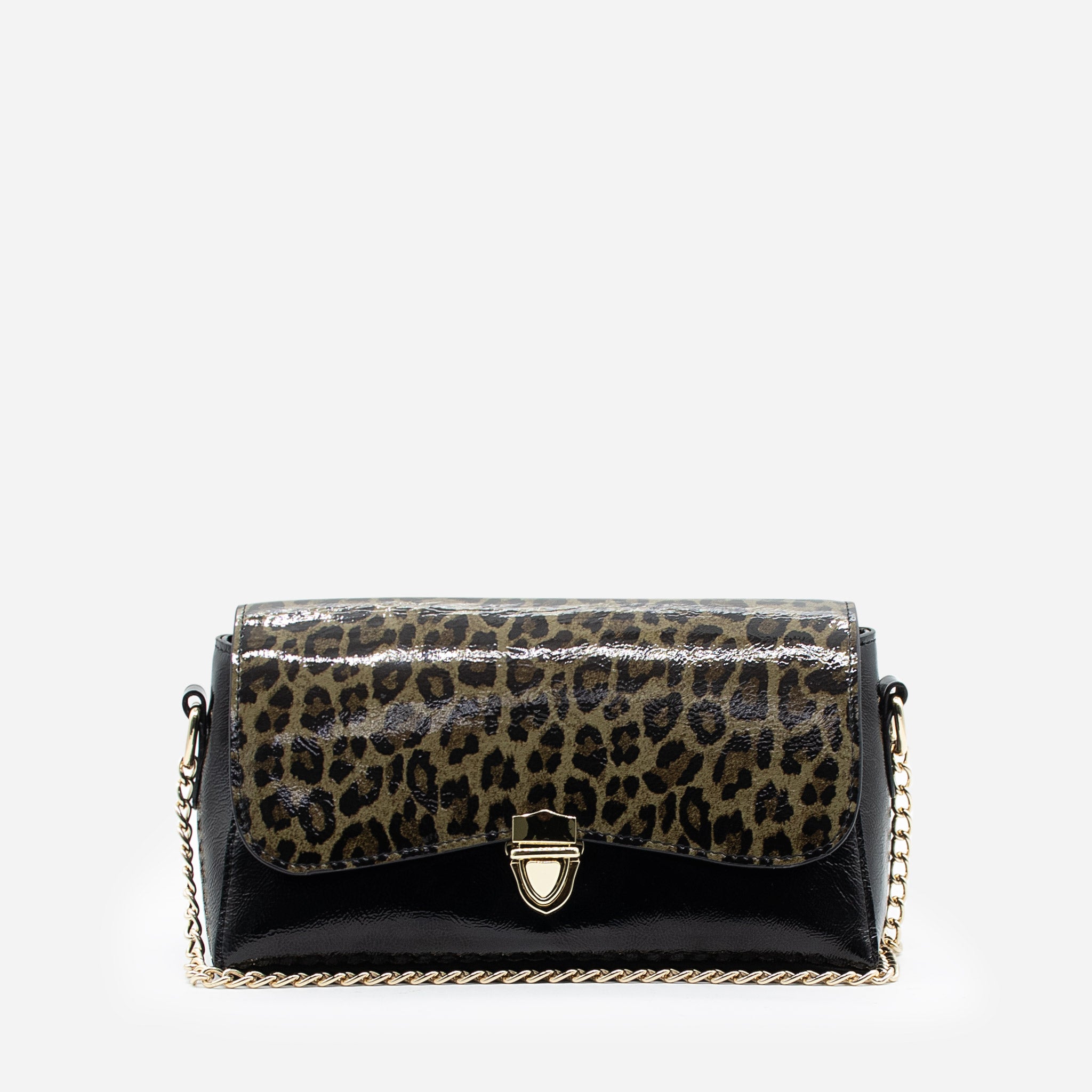 CARTERA - CT582
