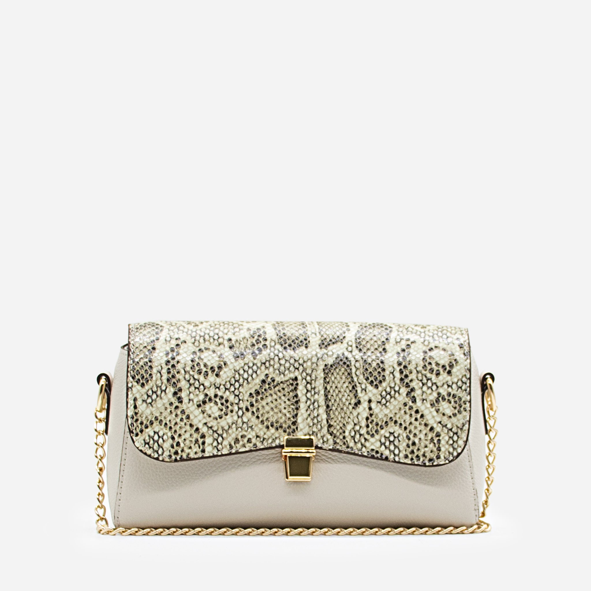 CARTERA - CT582