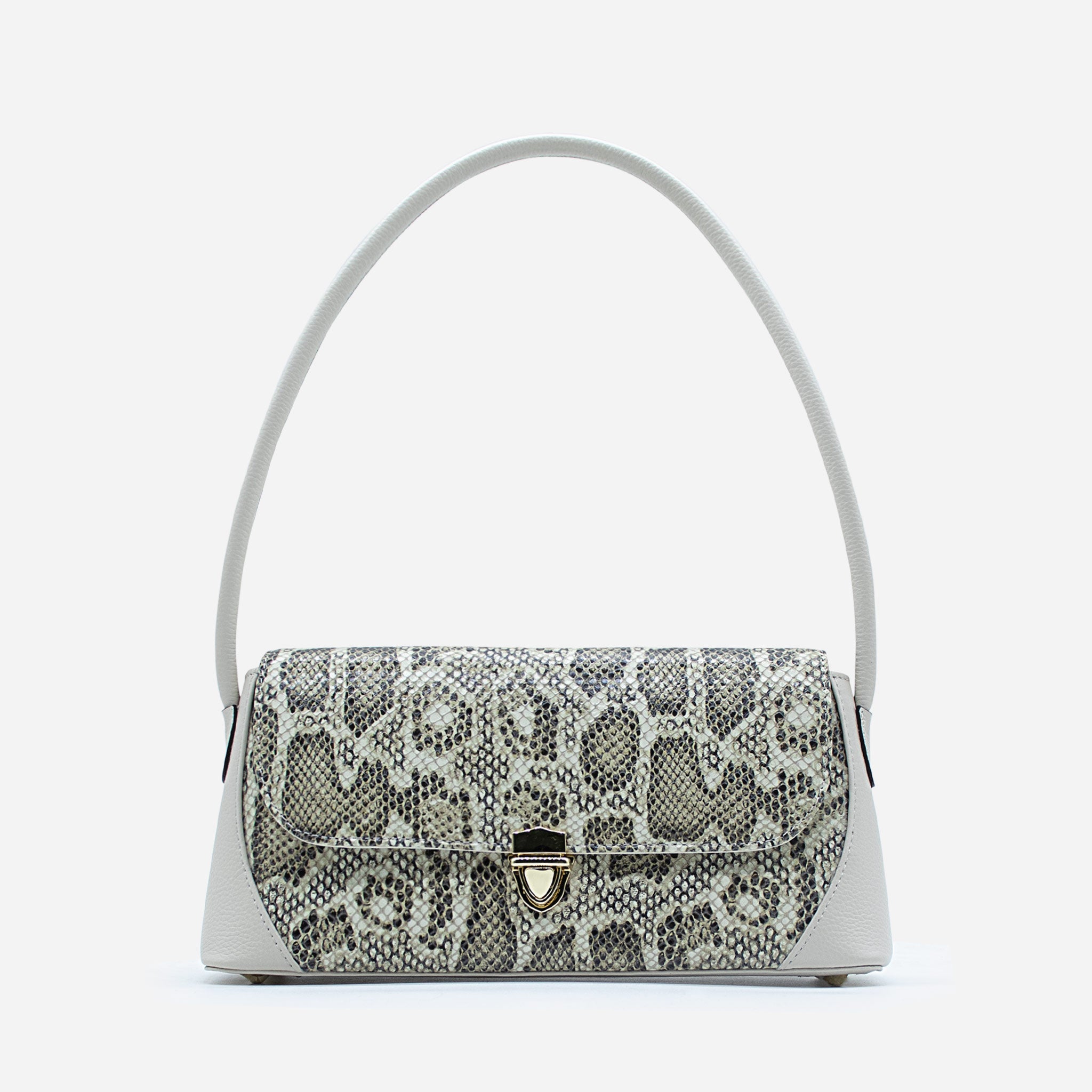 CARTERA - CT586