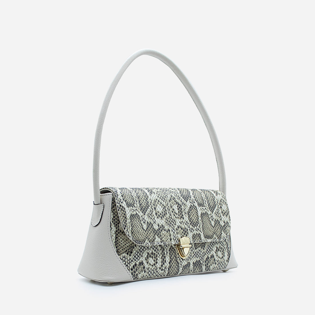CARTERA - CT586