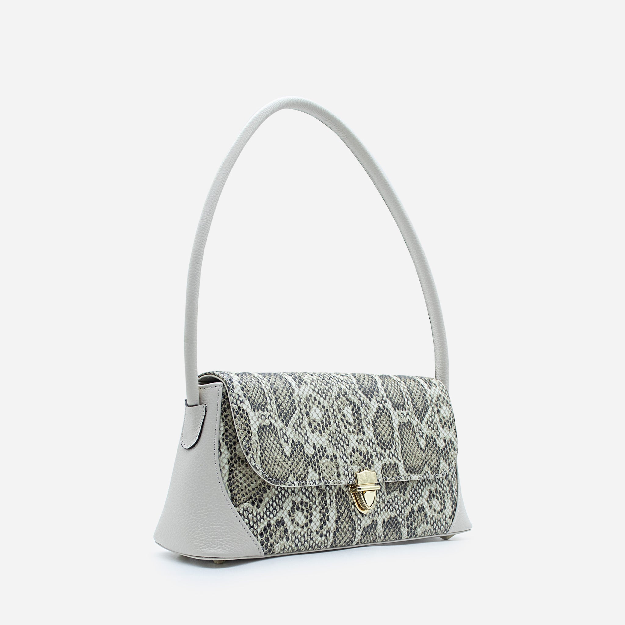 CARTERA - CT586