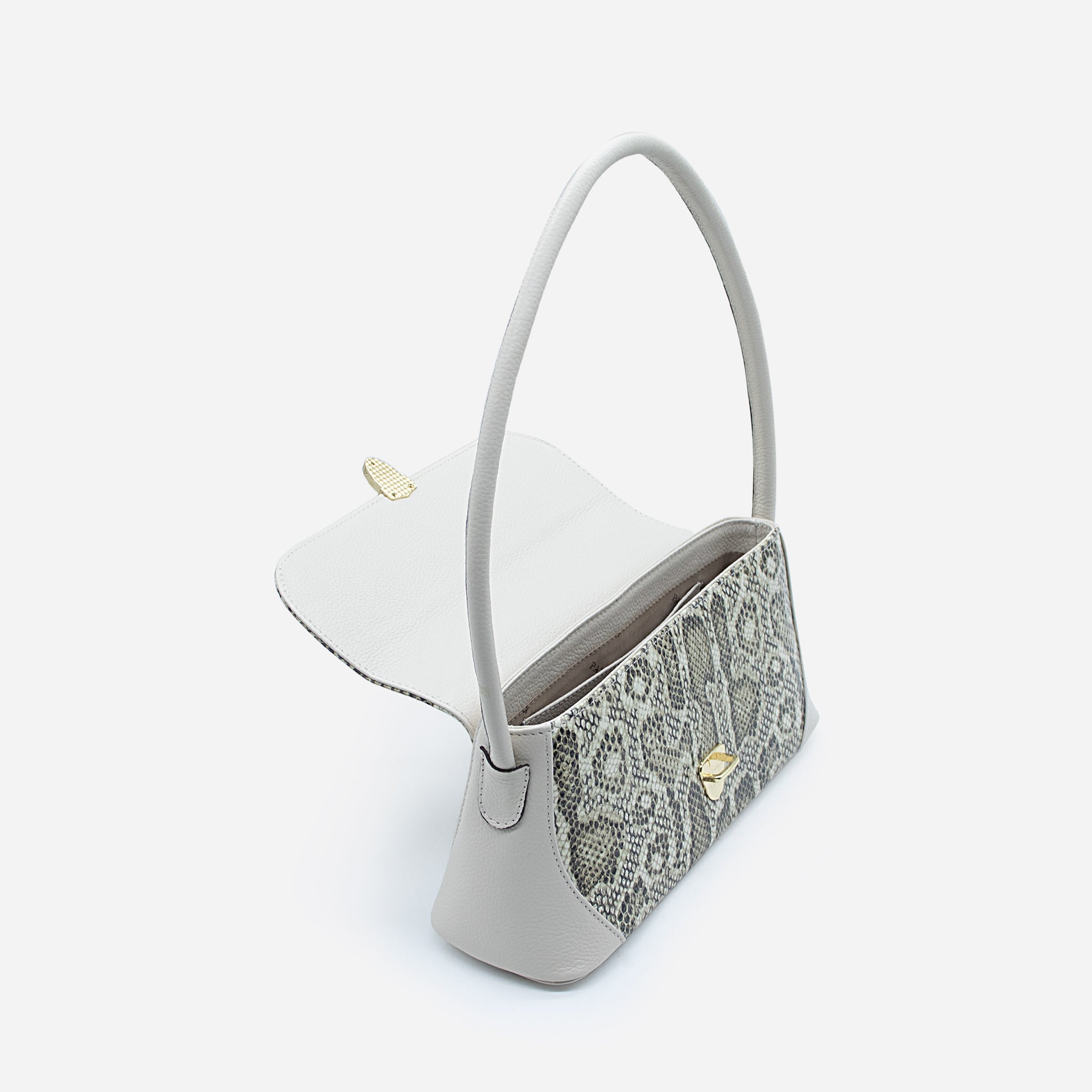 CARTERA - CT586