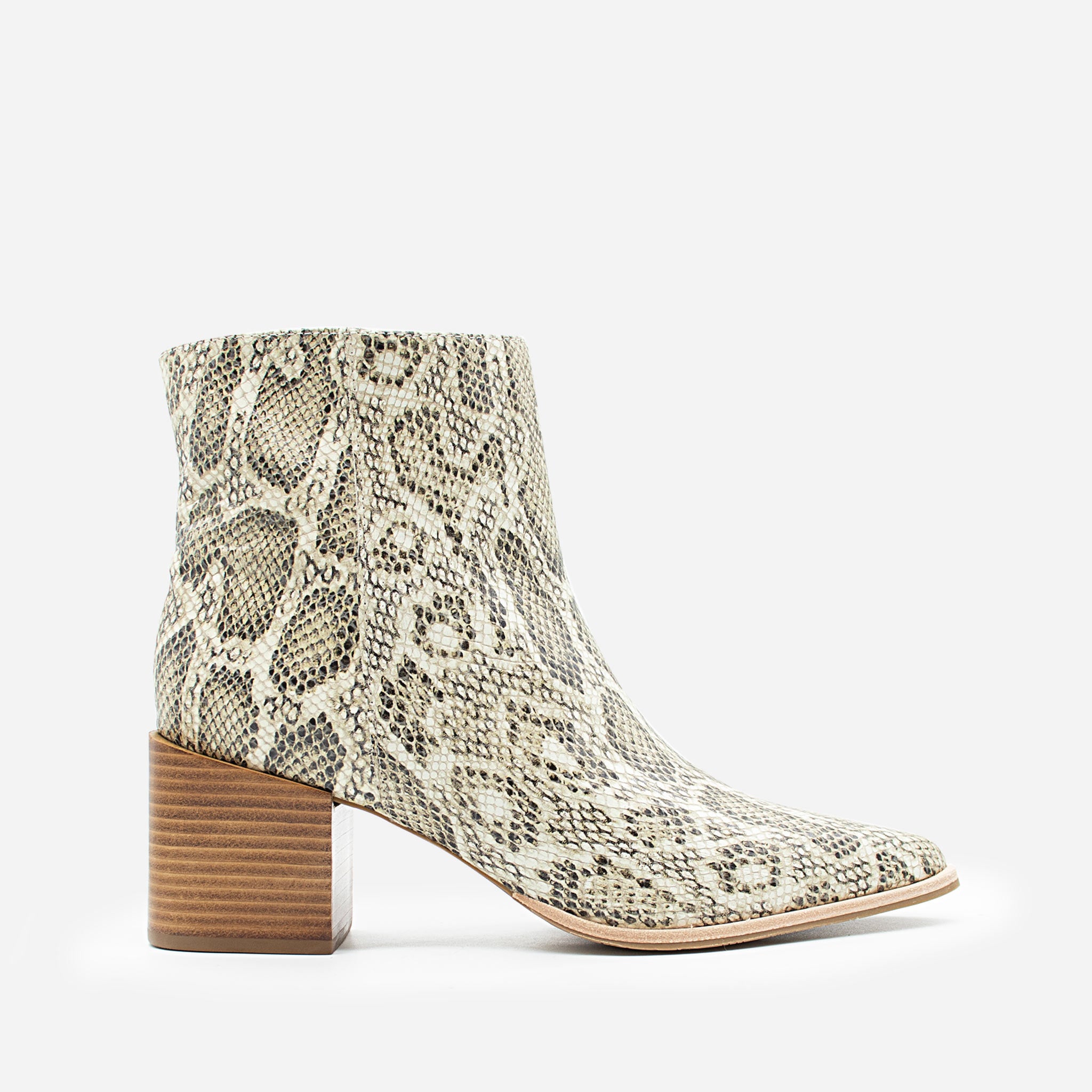 BOTIN - PST06048